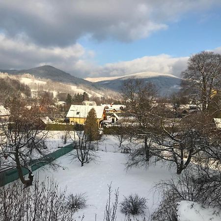 Mezonetovy Apartman Isabela Loučná nad Desnou Eksteriør billede