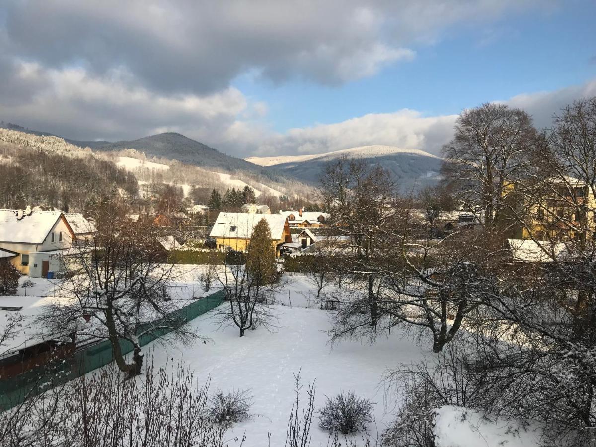 Mezonetovy Apartman Isabela Loučná nad Desnou Eksteriør billede