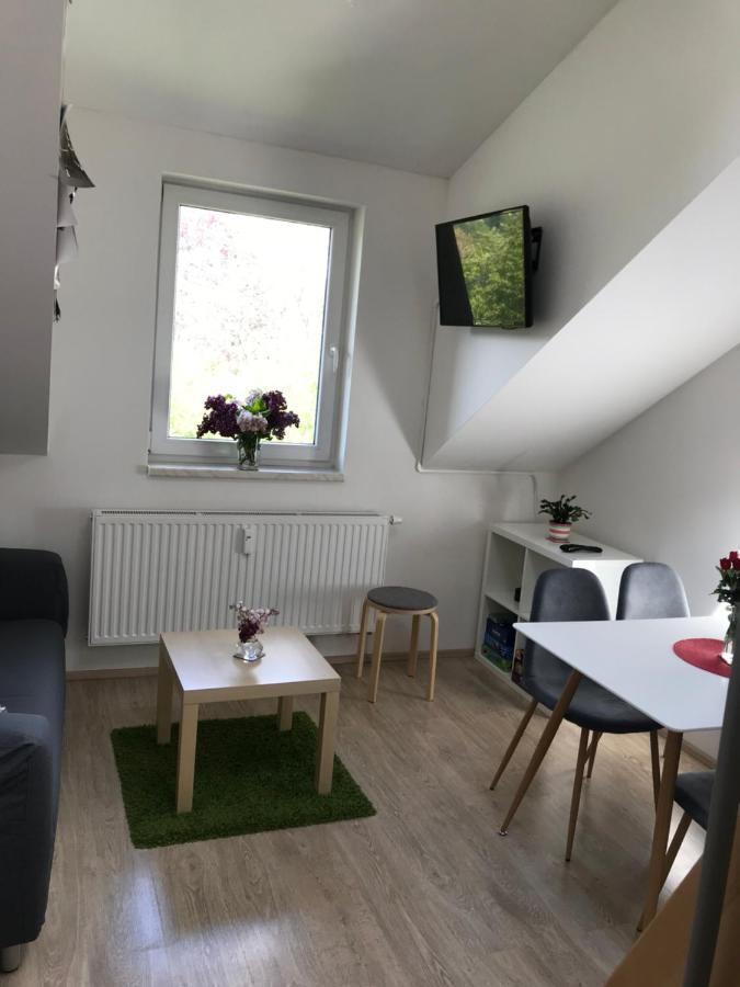 Mezonetovy Apartman Isabela Loučná nad Desnou Eksteriør billede